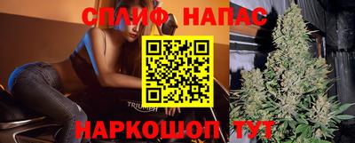 винт Нарткала