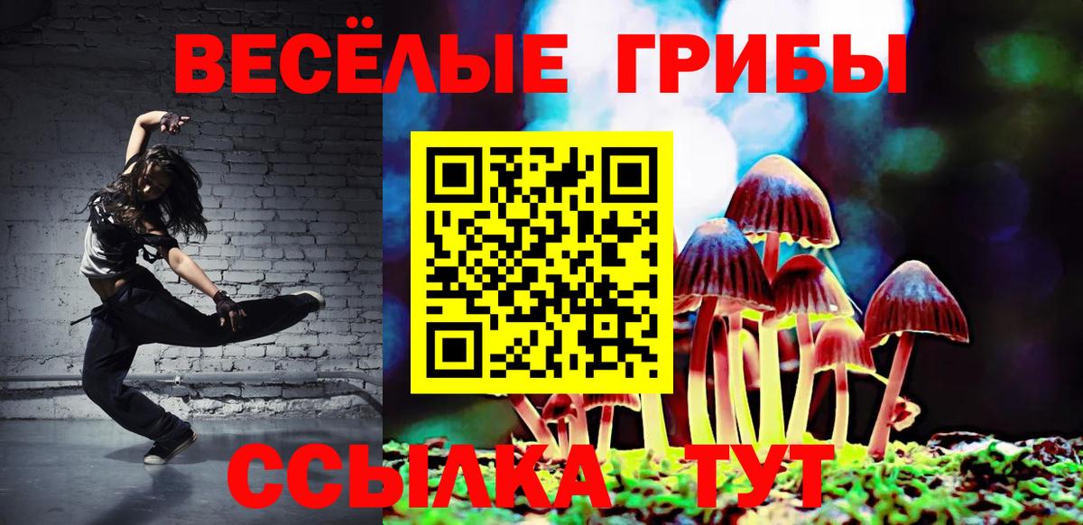 Воскресенск  Псилоцибиновые грибы GOLDEN TEACHER  Псилоцибиновые грибы GOLDEN TEACHER  Вход с VPN 